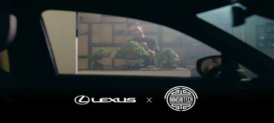 LEXUS PORTUGAL ANUNCIA COLABORAÇÃO COM A BONSAITECA